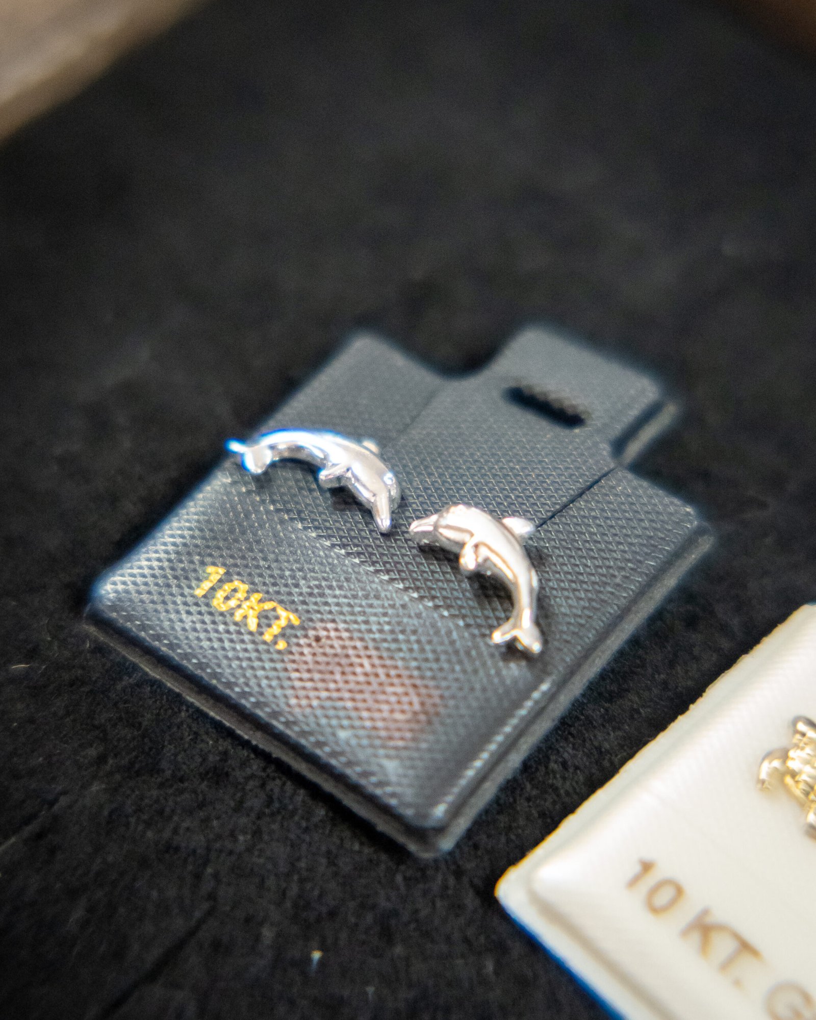 Silver Dolphin Earrings
