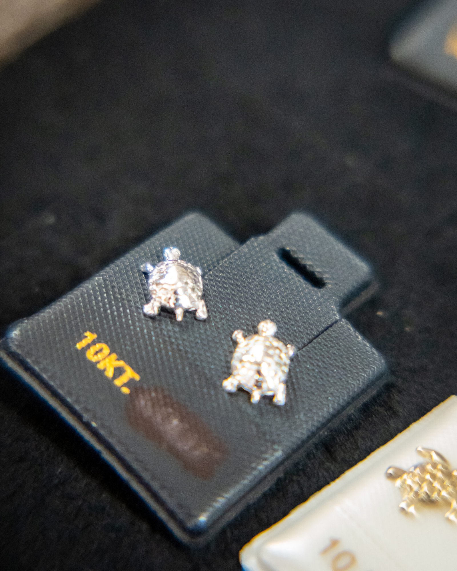 Silver Turtle Earrings