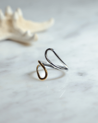 Double Wire Ring | Jewelry