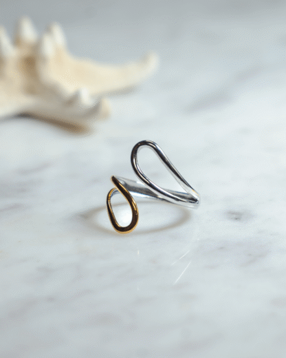 Double Wire Ring | Jewelry