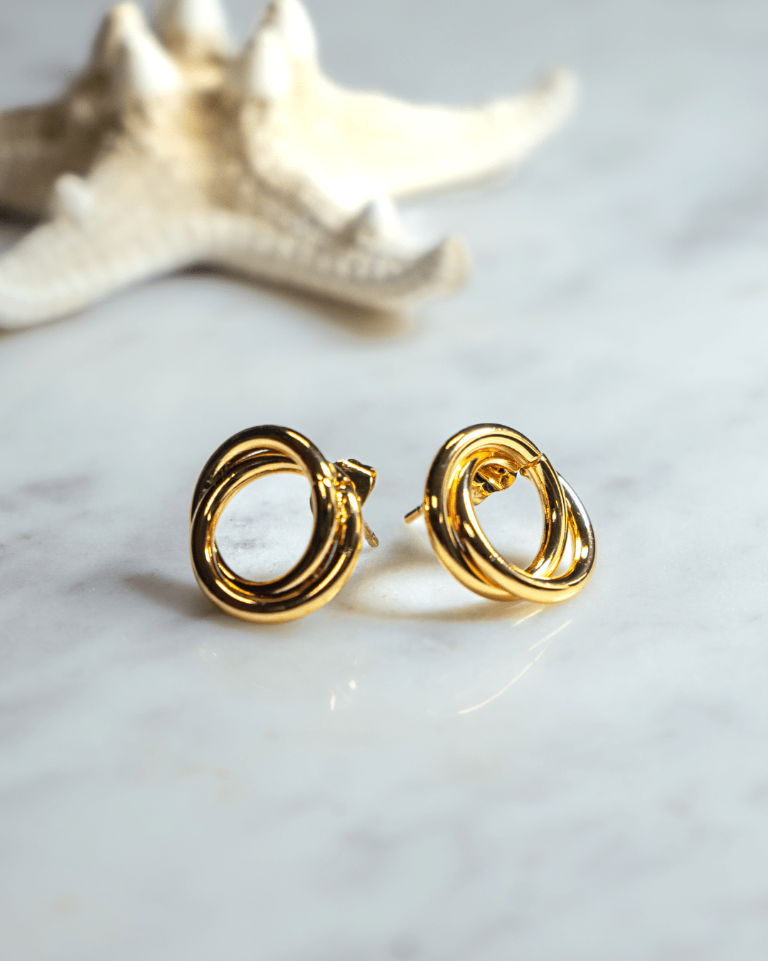 Aretes c?rculo enroscado