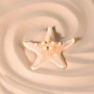 Starry Sea Hair Clips | ACCESORIES