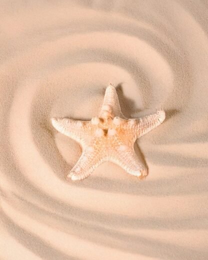 Starry Sea Hair Clips | Accessories