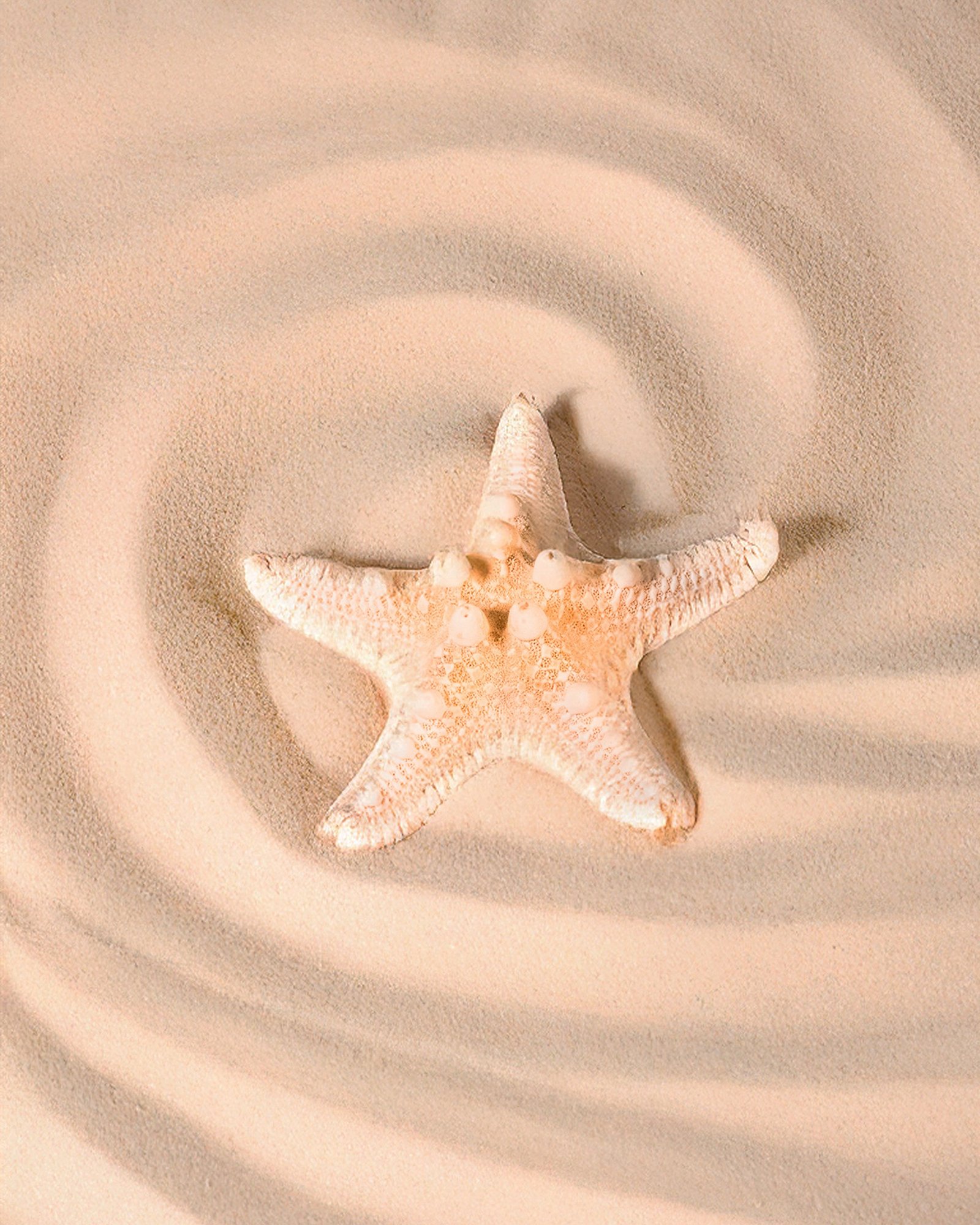 Starry Sea Hair Clips | ACCESORIES