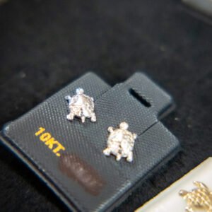 Silver Turtle Earrings
