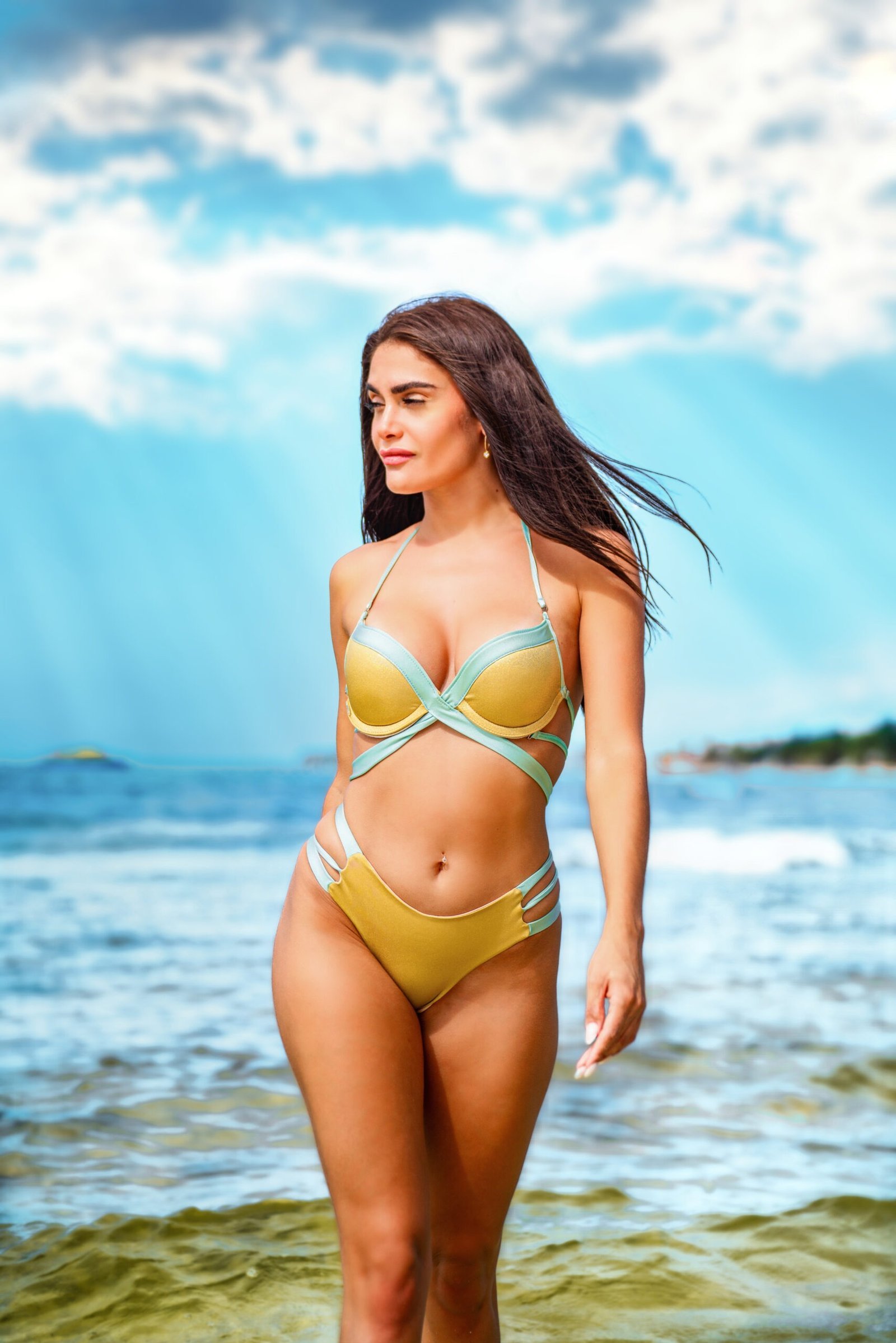 Cleopatra Ancestry Push-Up BRA | GODDESS - Image 7